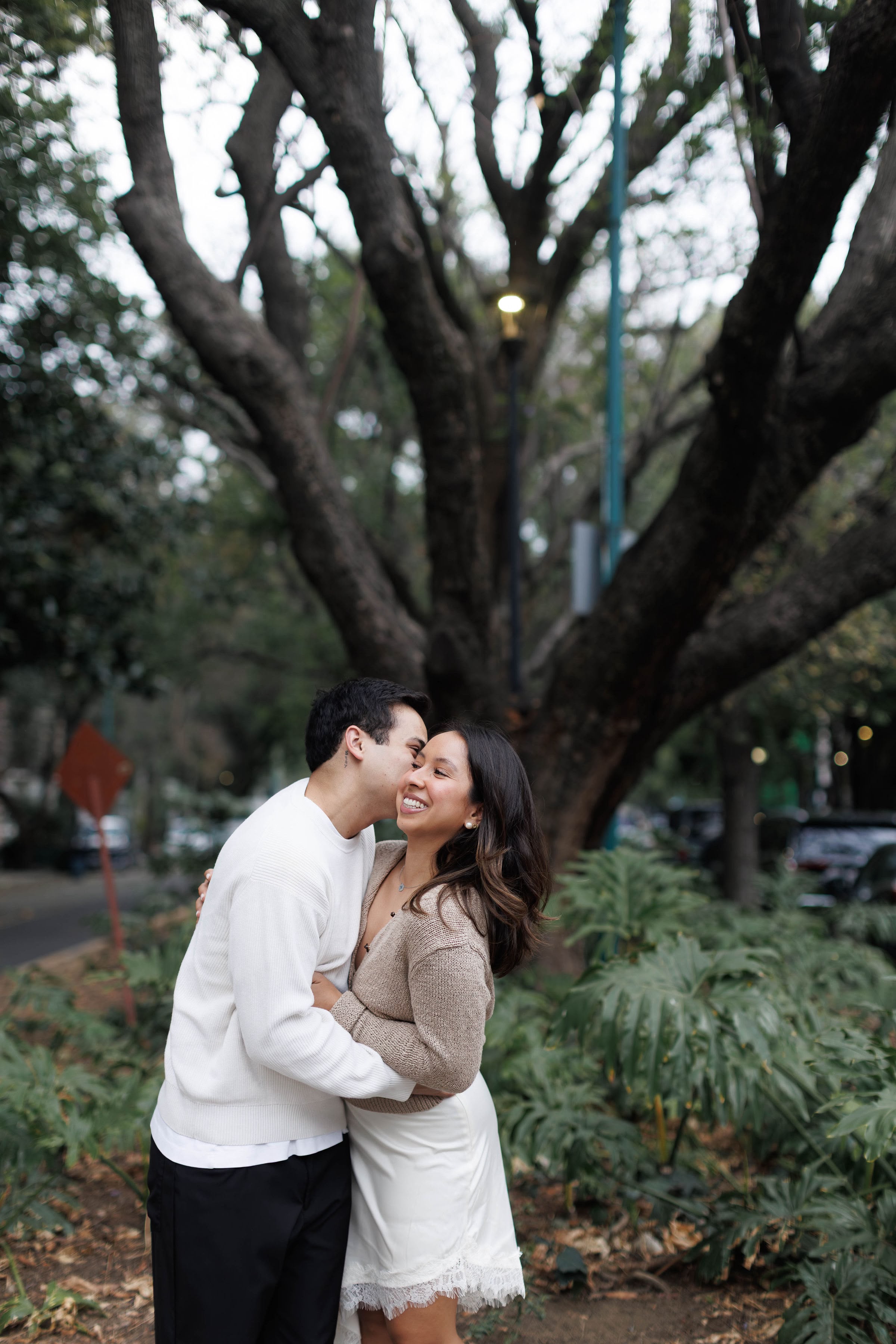 Abrazo bajo el árbol